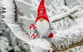 Schnee an Nikolaus 2021