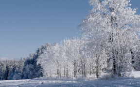 Kaltlufteinbruch Ende Dezember 2021