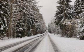 Schnee und Frost Ende Januar 2022