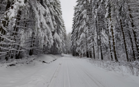 Ende Januar 2022 kälter