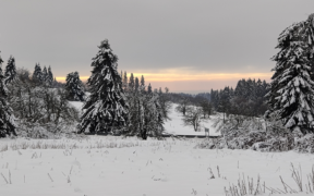 Mehr Schnee und Frost Ende Januar 2022