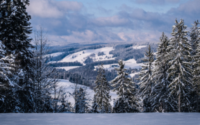 Wettertrend Januar/Februar 2022