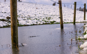 Chancen auf Schnee Februar 2022