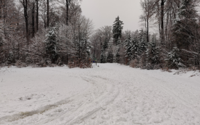 Frühling oder Winter März 2022