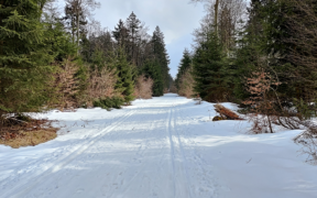 Wintereinbruch Ende März 2022