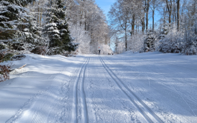 Schnee ab 01. April 2022