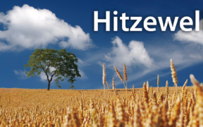 Hitzewelle Mitte Juli 2022