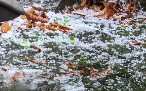 Graupel September 2022