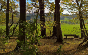 Wettertrend Ende Oktober 2022