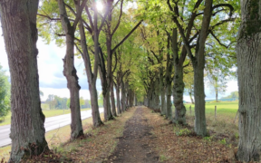 Warmes Wetter Ende Oktober 2022