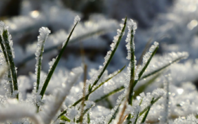 Schnee und Glätte November 2022