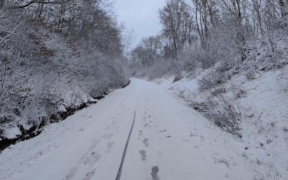 Schnee Nordosten Deutschlands