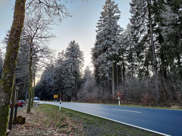 Weiße Bäume im Mittelgebirge