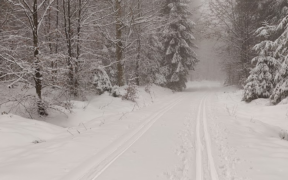 Über 20 cm Neuschnee Dezember 2022