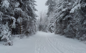 Schnee und Frost Dezember 2022