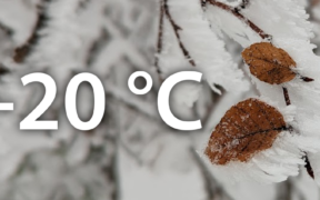 -20 Grad Mitte Dezember 2022