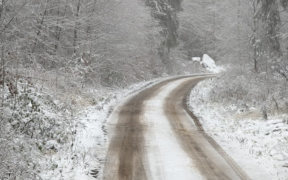 Schnee Mitte Januar 2023