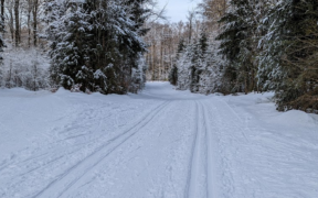 Neuschnee Mitte Januar 2023