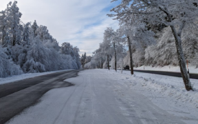 Kalte Phase ab Mitte Januar 2023