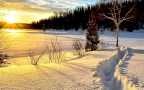 Viel Neuschnee Monatswechsel Januar/Februar 2023