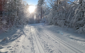 Gibt es Ende Februar 2023 Schnee?