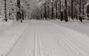 Schnee Anfang März 2023