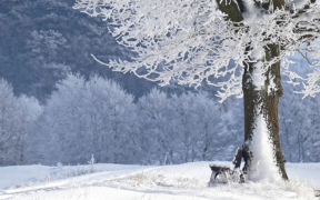 Wintereinbruch Ende März 2023