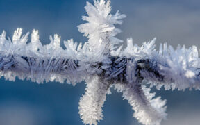 Erster Frost Mitte Oktober 2023