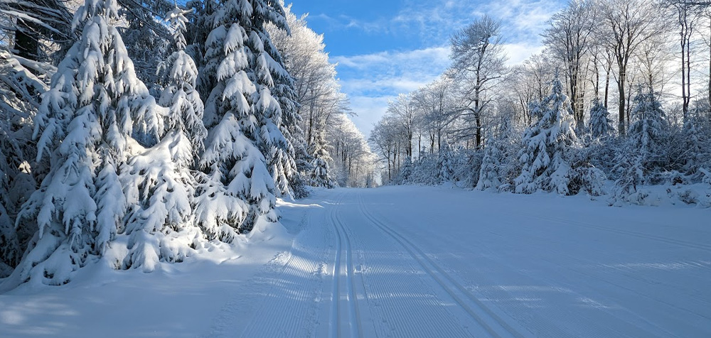 Wann Kommt Schnee 2023