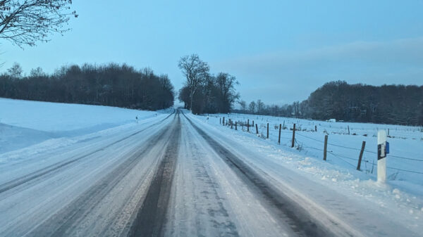 Winter-Trend Februar 2024