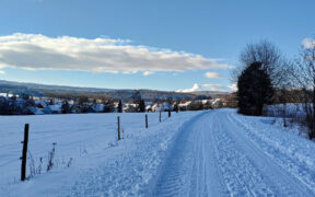 Schnee Anfang Februar 2024