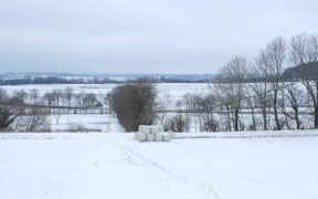 Wetterlage Ende Februar 2024