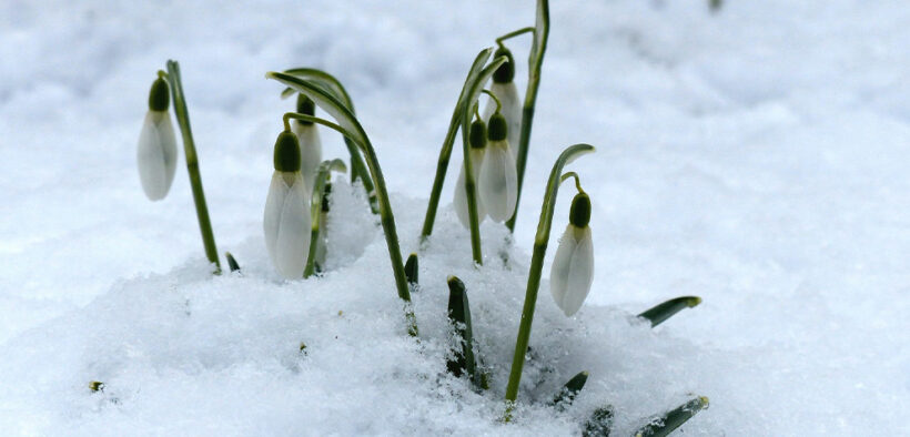 Spätwinterlicher März 2024