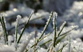 Graupel und Schnee Mitte April 2024