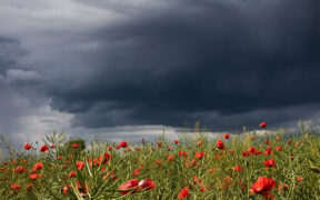 Gewitter Anfang Mai 2024