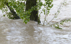 Hochwasser Anfang Juni 2024