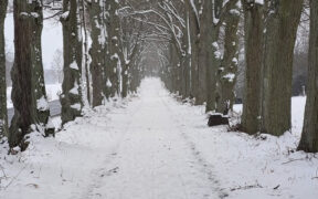 Schnee Bergland Ende Oktober 2025