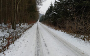 Schnee Mitte November 2025