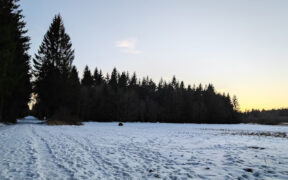 Schnee Mitte November 2025