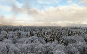 Kalte Phase Ende November 2025