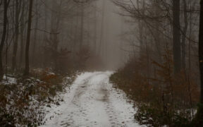 Tauwetter Ende November 2025