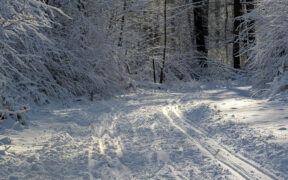 Wann kommt der nächste Schnee Dezember 2025