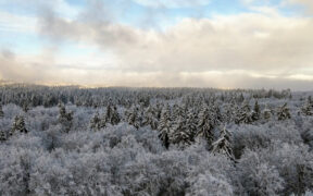 Wintereinbruch Ende Dezember 2025
