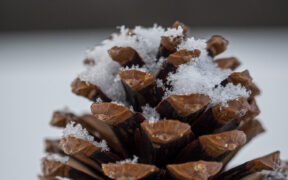 Wintereinbruch Dezember 2025