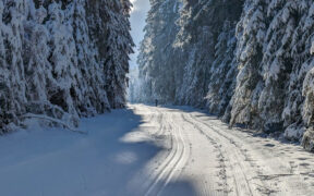 Viel Schnee ab Jahreswechsel 2025-26