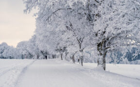 2026 startet mit Schnee