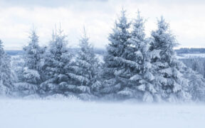 Schneesturm Januar 2026