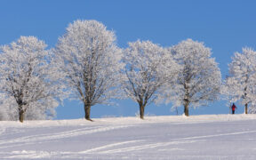 Unter -15 Grad Januar 2026