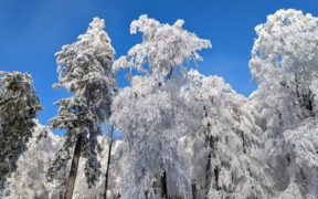 Kalte Phase Ende Januar 2026