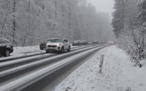 Schnee Ende Januar 2026